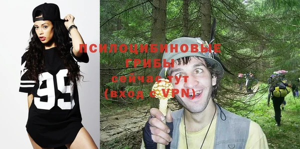 эйфоретик Горняк