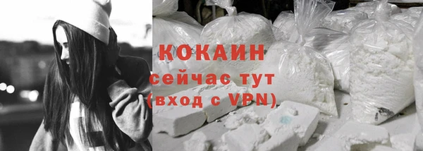 2c-b Горно-Алтайск
