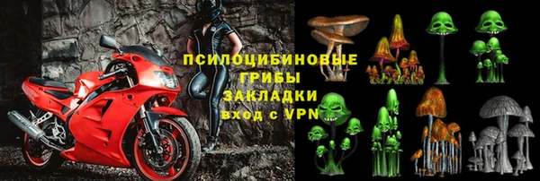 2c-b Горно-Алтайск