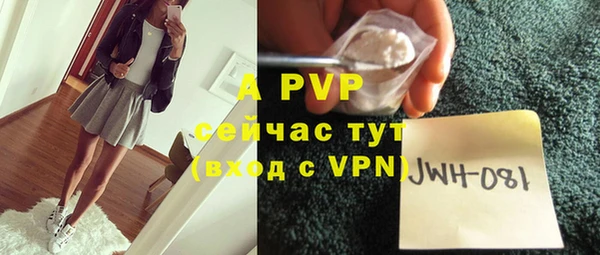 2c-b Горно-Алтайск
