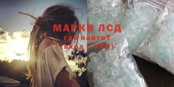 прущие грибы Вязники