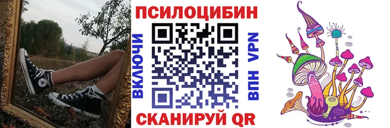 hydra ССЫЛКА  Пошехонье  Псилоцибиновые грибы GOLDEN TEACHER  даркнет сайт 